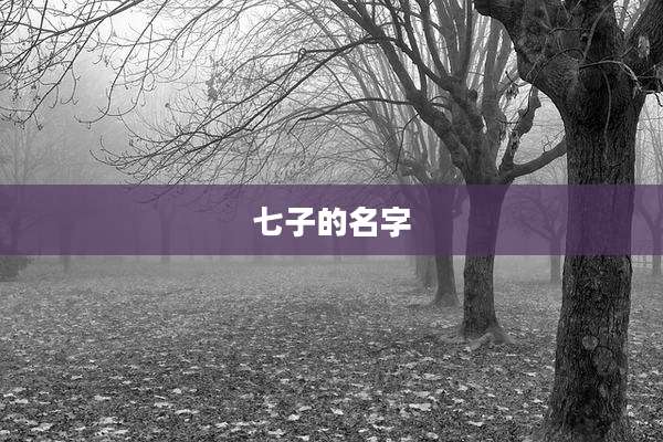七子的名字