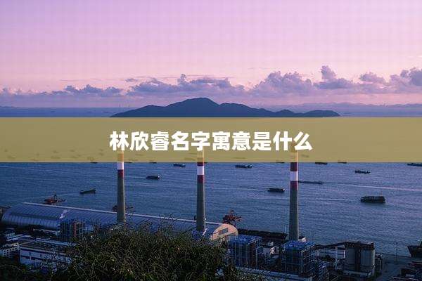 林欣睿名字寓意是什么