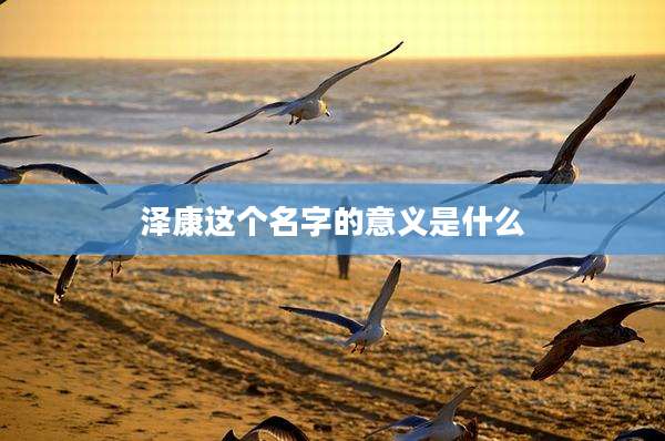 泽康这个名字的意义是什么