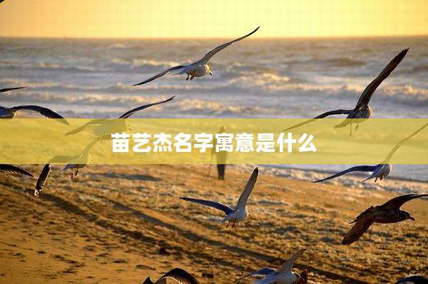 苗艺杰名字寓意是什么