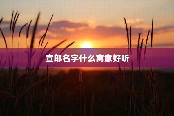 宣郎名字什么寓意好听