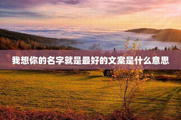 我想你的名字就是最好的文案是什么意思