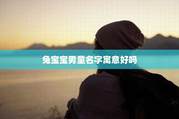 兔宝宝男童名字寓意好吗