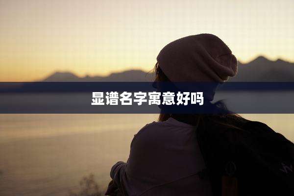 显谱名字寓意好吗