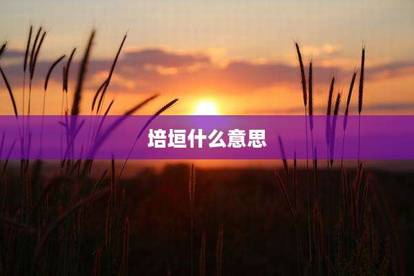 培垣什么意思