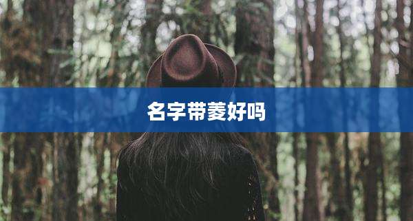 名字带菱好吗
