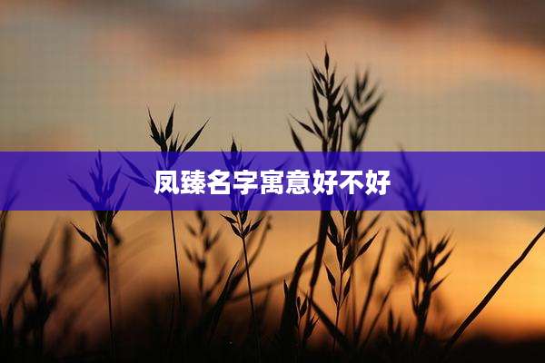 凤臻名字寓意好不好