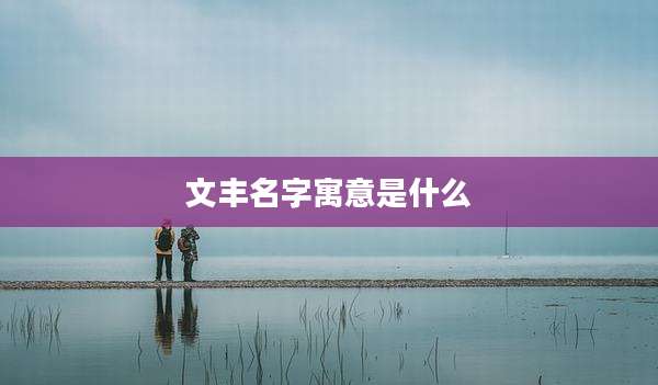 文丰名字寓意是什么
