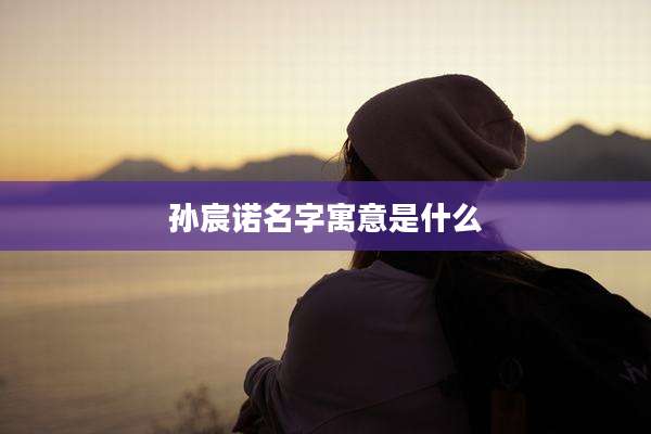 孙宸诺名字寓意是什么