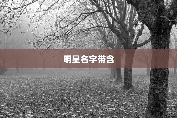 明星名字带含