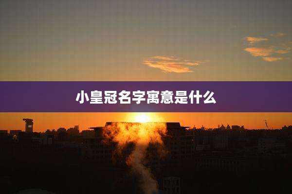 小皇冠名字寓意是什么