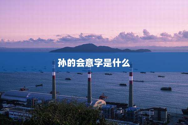 孙的会意字是什么