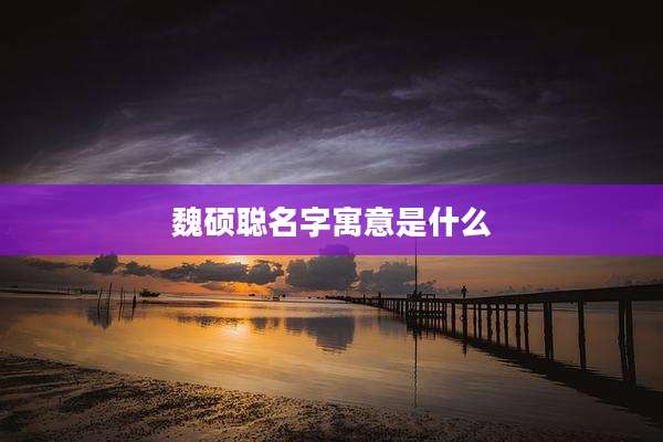 魏硕聪名字寓意是什么