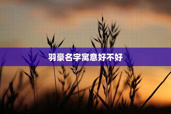 羽豪名字寓意好不好