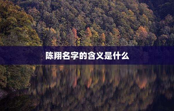 陈翔名字的含义是什么