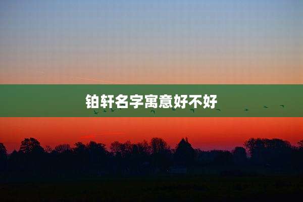 铂轩名字寓意好不好
