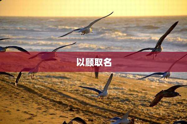 以顾取名