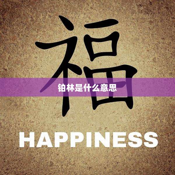 铂林是什么意思