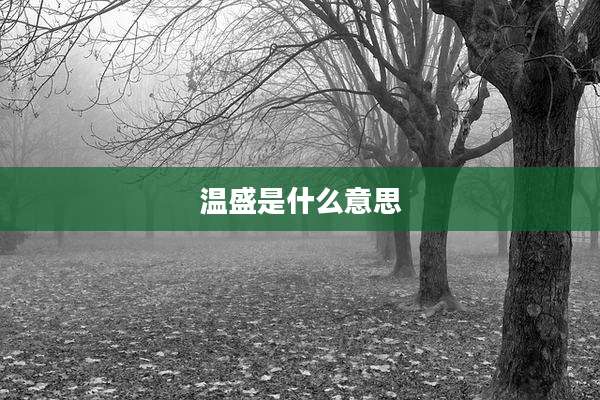 温盛是什么意思