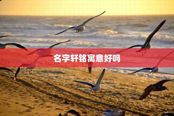 名字轩铭寓意好吗