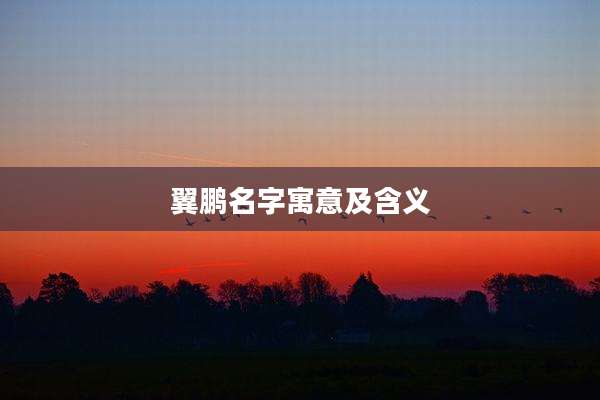 翼鹏名字寓意及含义