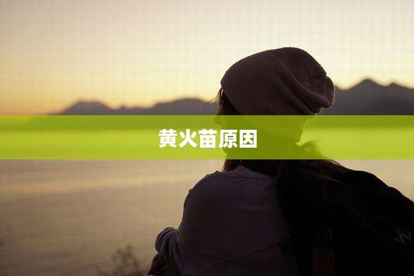 黄火苗原因
