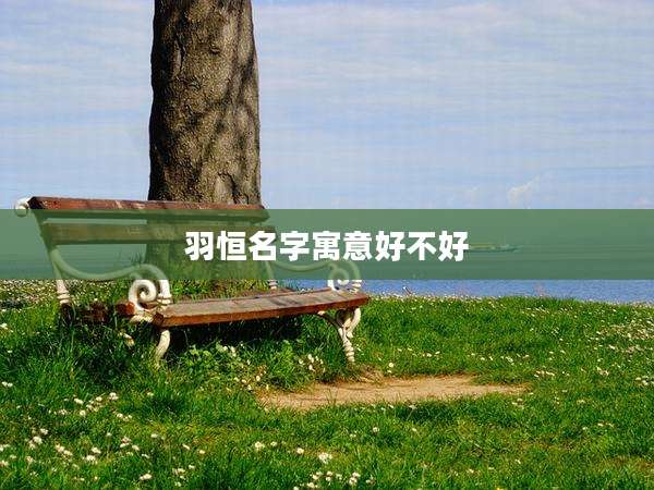 羽恒名字寓意好不好