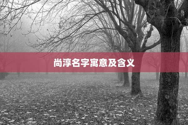 尚淳名字寓意及含义