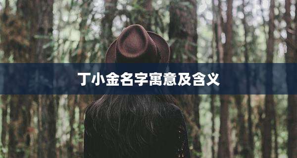 丁小金名字寓意及含义