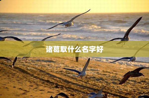 诸葛取什么名字好