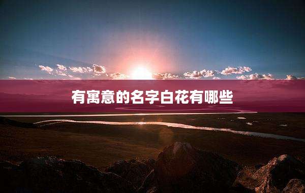 有寓意的名字白花有哪些