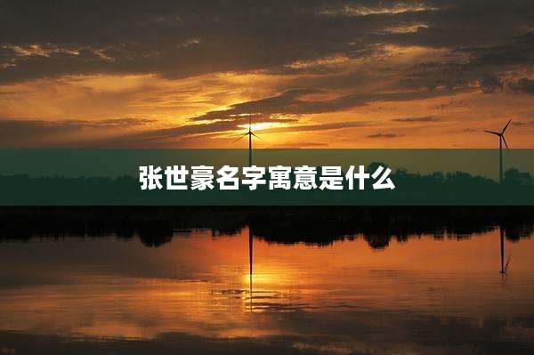 张世豪名字寓意是什么
