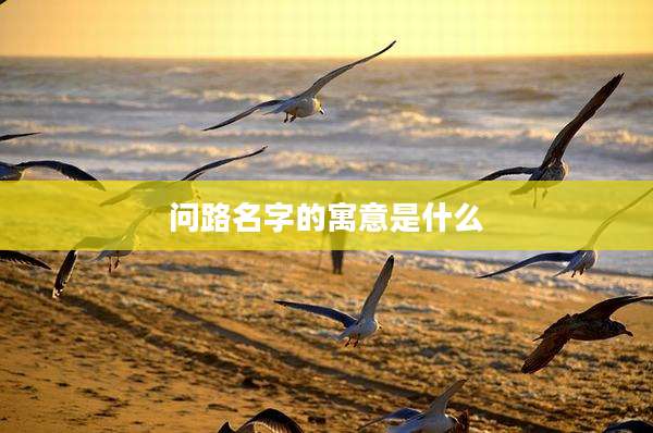 问路名字的寓意是什么