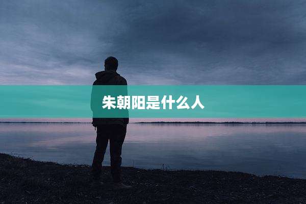 朱朝阳是什么人