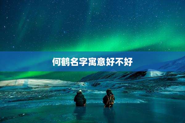 何鹤名字寓意好不好