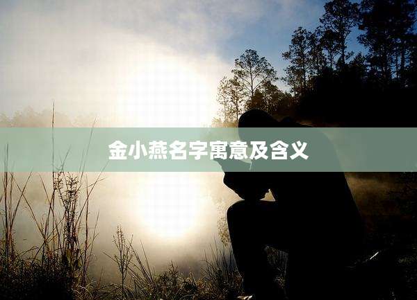 金小燕名字寓意及含义