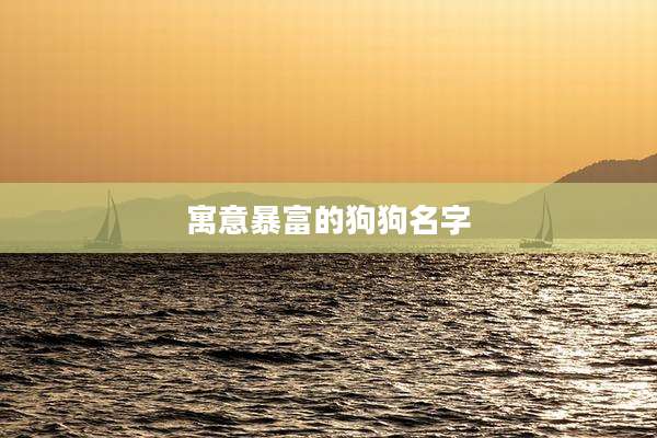 寓意暴富的狗狗名字