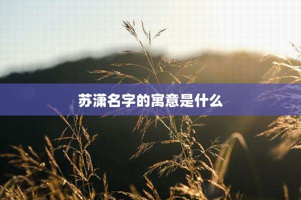 苏潇名字的寓意是什么