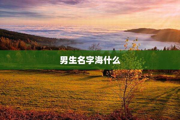 男生名字海什么