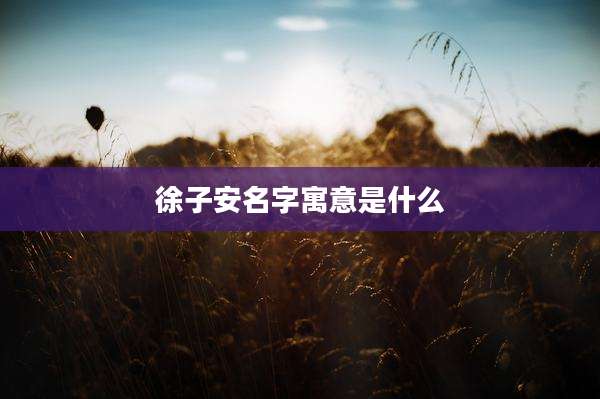 徐子安名字寓意是什么