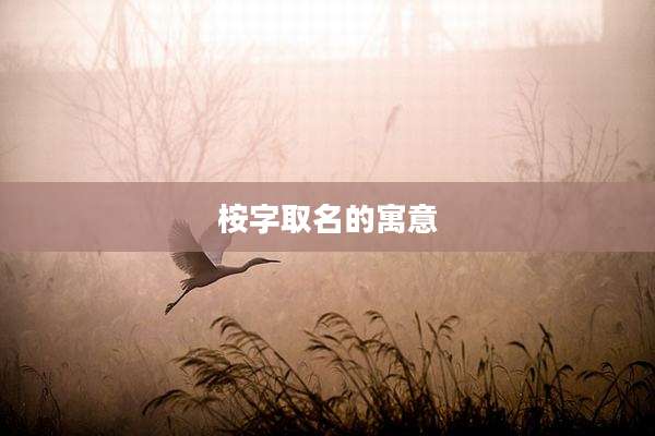 桉字取名的寓意