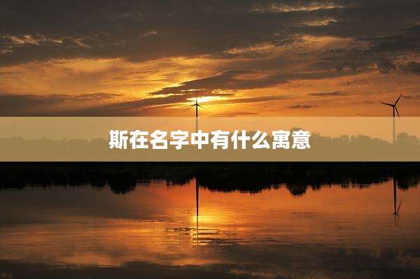 斯在名字中有什么寓意