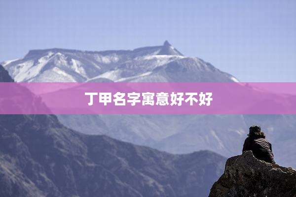 丁甲名字寓意好不好