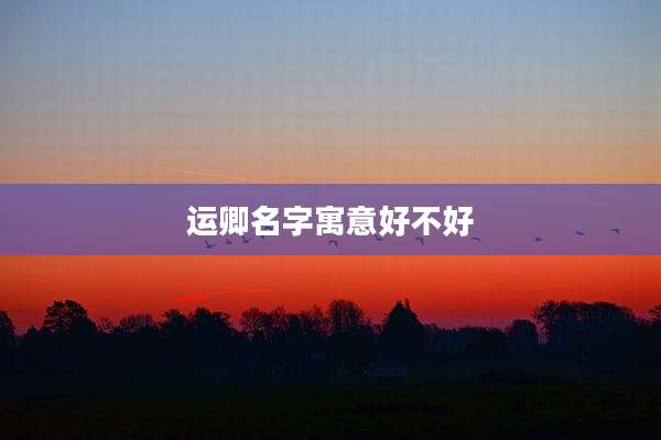 运卿名字寓意好不好