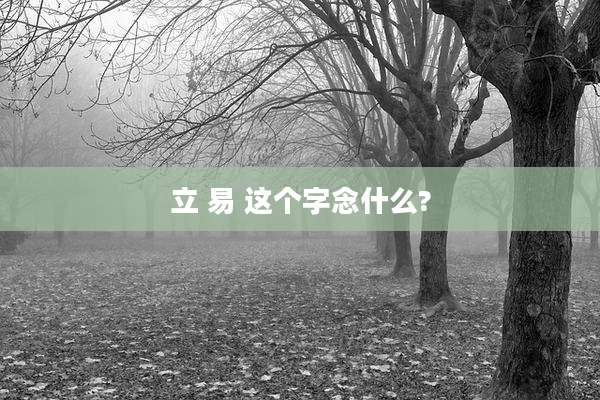 立 易 这个字念什么?