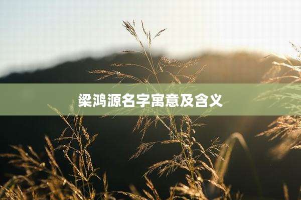 梁鸿源名字寓意及含义