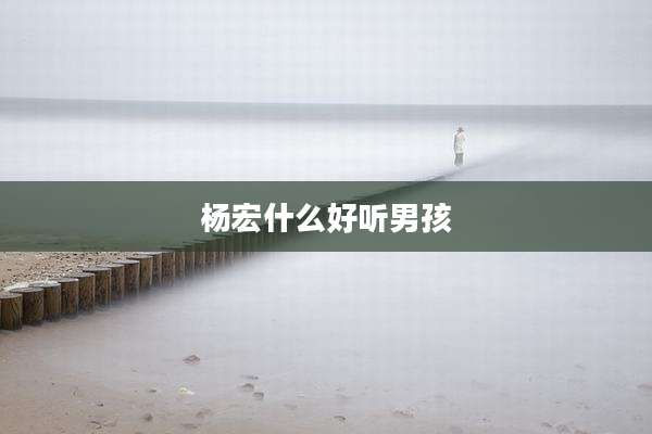 杨宏什么好听男孩
