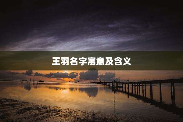 王羽名字寓意及含义