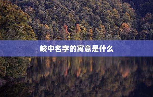 峻中名字的寓意是什么