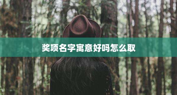 奖项名字寓意好吗怎么取